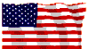 Flag Waving USA